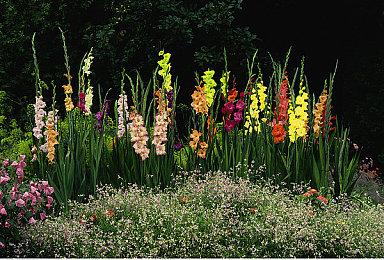 《马力欧激战前锋》推出试玩版 支持本地8人游戏